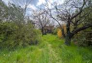 Charmantes Einfamilienhaus in ruhiger Ortsrandlage