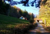 Traumanwesen in Alleinlage – 12.000 m² für Naturliebhaber und Pferdehalter