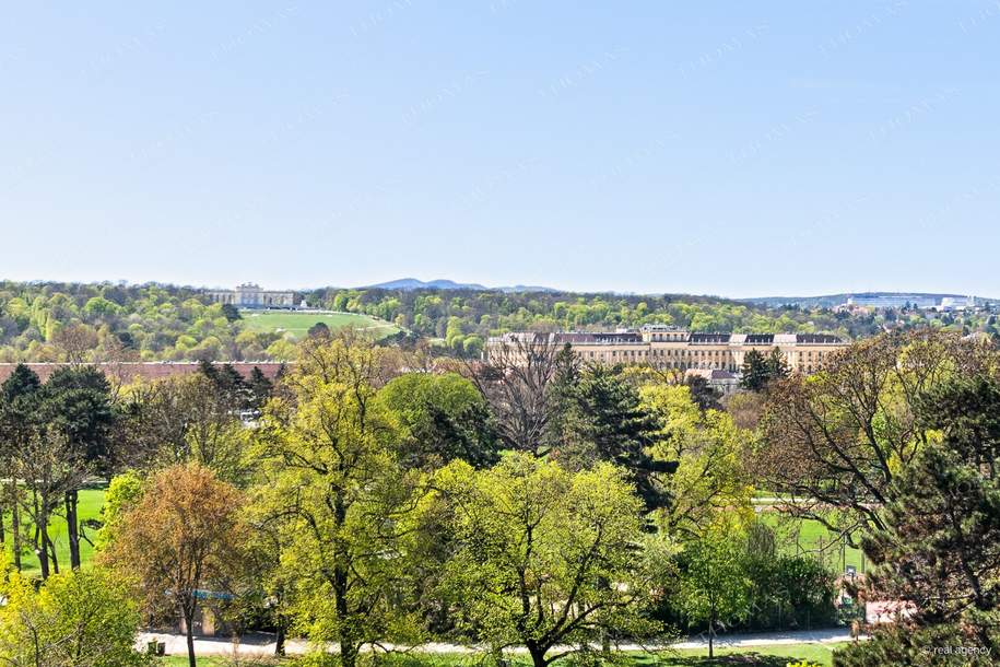 DG-Maisonette mit spektakulärem Fernblick über Schloss Schönbrunn & Gloriette, Wohnung-kauf, 720.000,€, 1150 Wien 15., Rudolfsheim-Fünfhaus