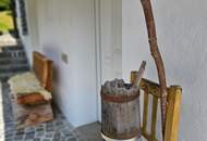 Gemütliches Wohn- Ferienhaus mit BERGpanorama in St. Johann/Tauern "Ein Juwel ... für Alle, die das Besondere lieben