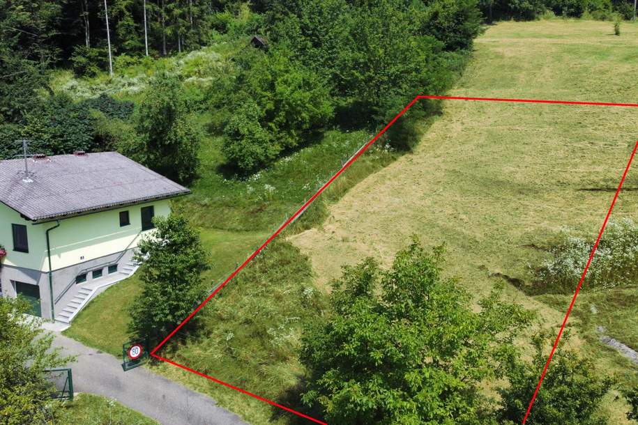 Sonniger Baugrund am Waldrand nähe Feldkirchen, Grund und Boden-kauf, 70.000,€, 9560 Feldkirchen