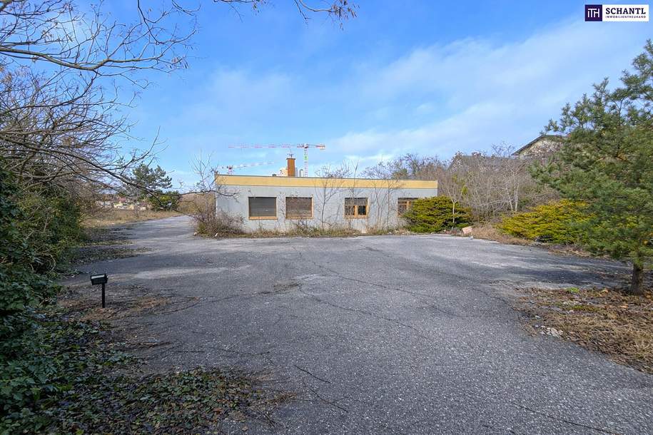 Großzügiges Grundstück mit vielfältigen Möglichkeiten in Kottingbrunn, Grund und Boden-kauf, 599.000,€, 2542 Baden