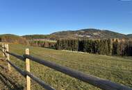 Ihr Logenplatz über Graz: Exklusives Panoramagrundstück in Weinitzen mit traumhafter Aussicht in idyllischer Ruhelage – Jetzt besichtigen!