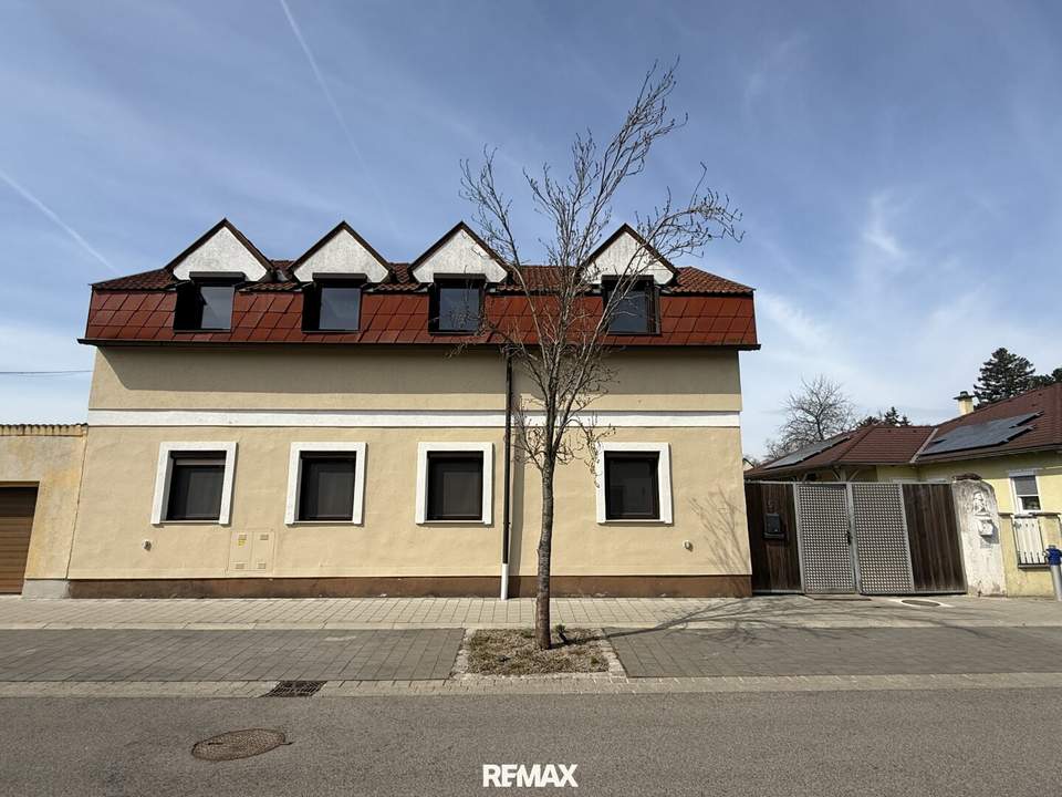 Ein- oder Zweifamilienhaus mit großem Grundstück