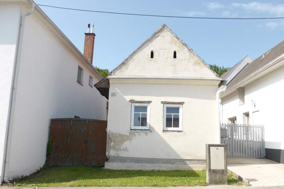 Bastlerhit - Erwecke das Haus aus seinem Dornröschenschlaf, Haus-kauf, 50.000,€, 7311 Oberpullendorf
