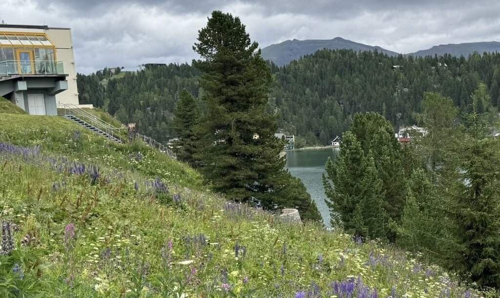 Turracher Höhe - Ein Grundstück mit Seltenheitswert – ideal für eine hochwertige touristische Entwicklung. Baugrundstück für eine Apartmentanlage - DIREKT bei der Piste und der Talstation "Panoramabahn"