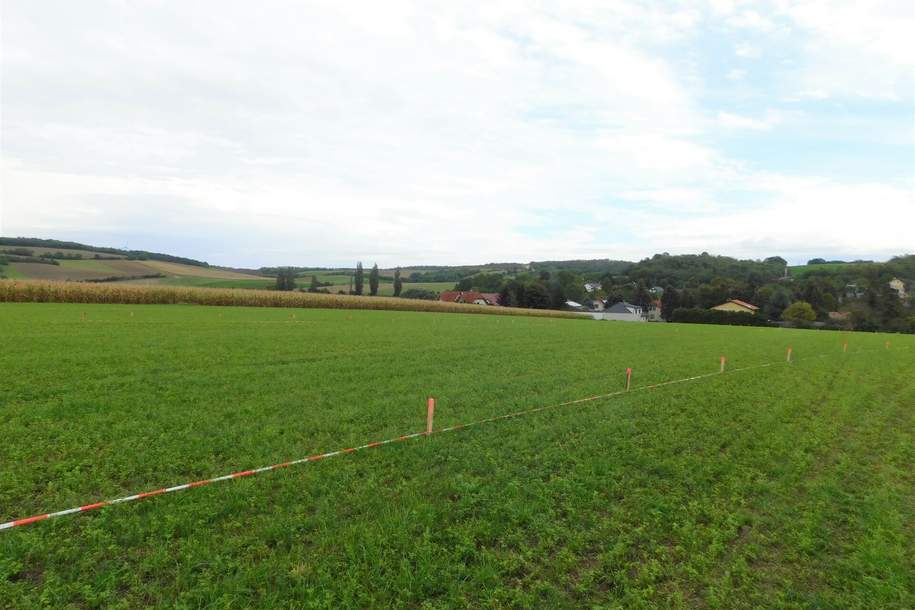 Traumhafte Baugrundstücke Mitten im Weinviertel, Grund und Boden-kauf, 2124 Mistelbach