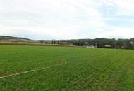 Traumhafte Baugrundstücke Mitten im Weinviertel