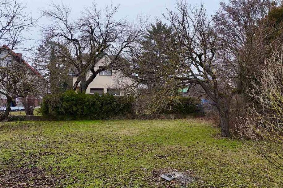 Ein Grundstück, auf dem Träume wachsen, Grund und Boden-kauf, 499.000,€, 1220 Wien 22., Donaustadt