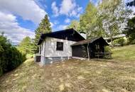 Leben, wo andere Urlaub machen – EFH auf 1.248 m² Grundstück mit Schneebergblick!