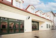 Historisches Gewerbe-Wohnobjekt in Wiener Neustadt