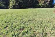 Preiswertes Grundstück am Rechberg: Ruhe, Aussicht und Natur!