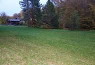 TRAUMHAFTES GRUNDSTÜCK MIT TEICH AM STEINRIEGL