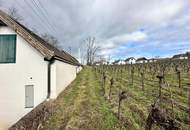 Ruhig gelegener, renovierter Weinkeller mit besonderem Flair!