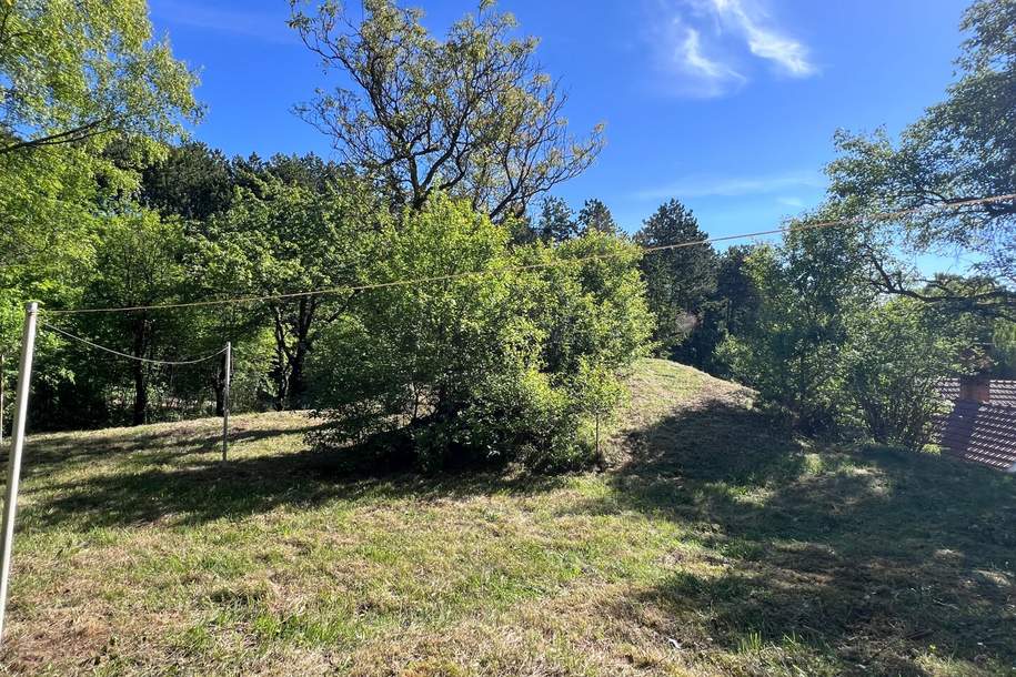 2.061 m² am Waldrand – Grundstück mit vielseitigen Möglichkeiten in Enzesfeld, Grund und Boden-kauf, 490.000,€, 2551 Baden
