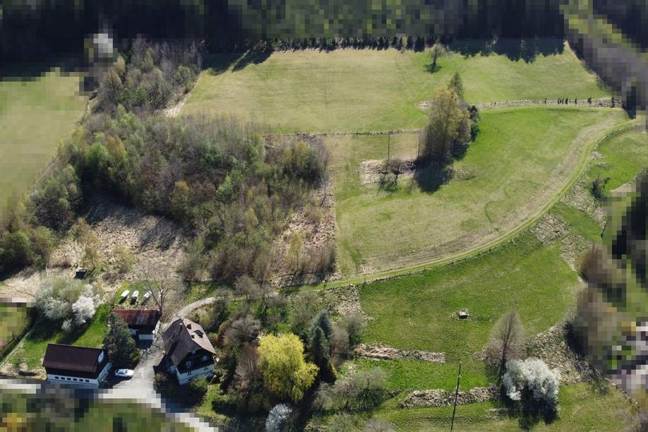 Über 5 Hektar Grund mit Wohnhaus & Nebengebäuden – außergewöhnliche Liegenschaft in Pernegg, Haus-kauf, 699.000,€, 8131 Bruck-Mürzzuschlag