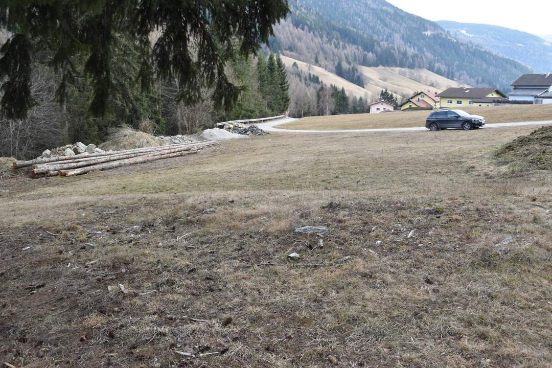 Hier planen und errichten wir unser gemeinsames Wohnhaus