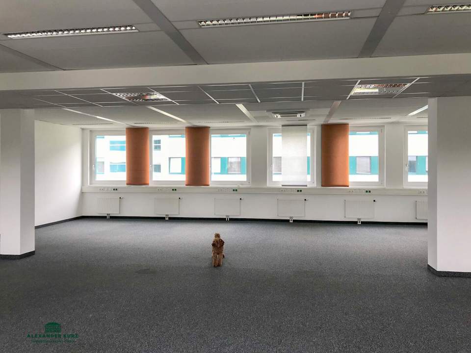 Großzügige moderne Büroeinheit im Norden Salzburgs