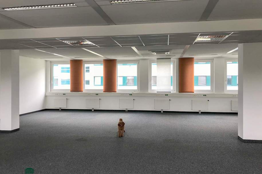 Großzügige moderne Büroeinheit im Norden Salzburgs, Gewerbeobjekt-miete, 5.886,50,€, 5020 Salzburg(Stadt)