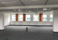 Großzügige moderne Büroeinheit im Norden Salzburgs