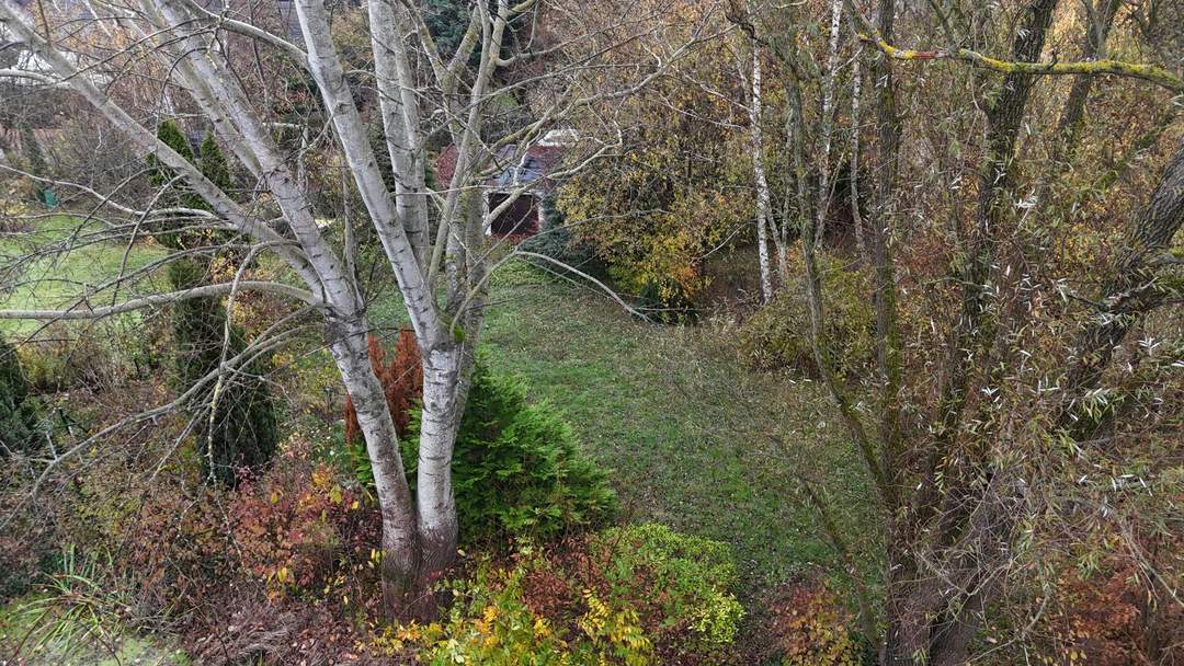 "Bauen und Wohnen am begehrten Tulbingerkogel"