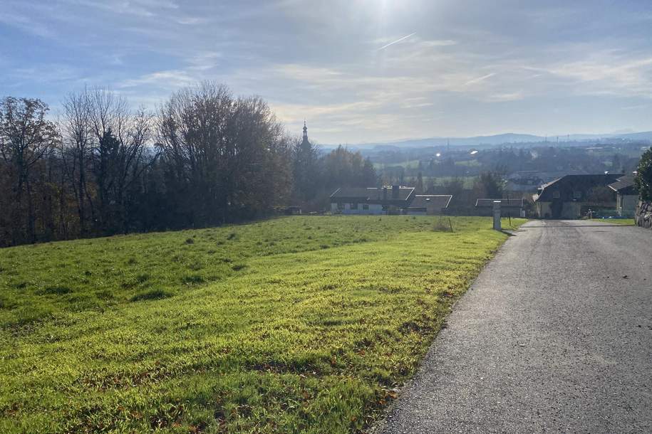 Sonniger Baugrund mit Grünstreifen in schöner Lage in Stadtnähe (1.491 m²), Grund und Boden-kauf, 198.730,€, 4911 Ried im Innkreis