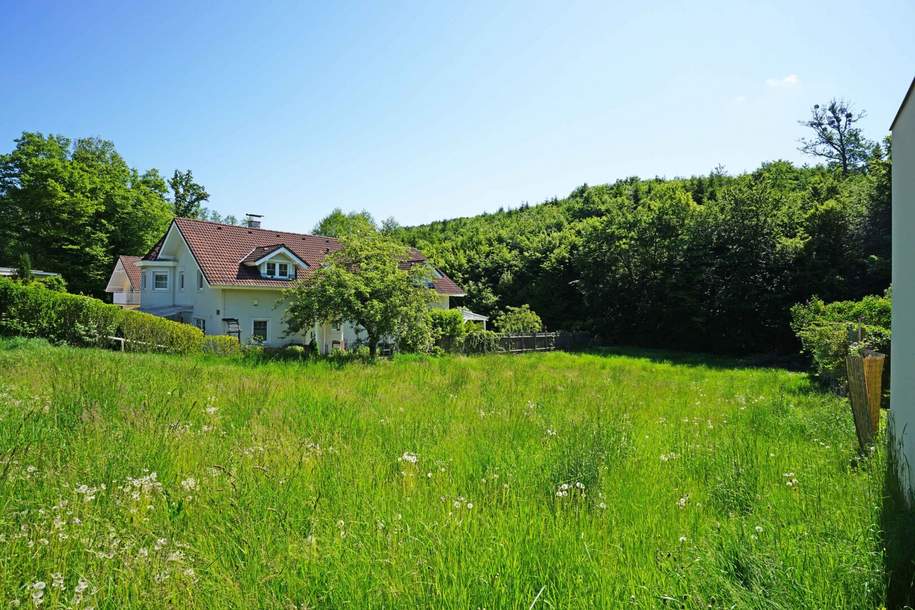Idyllisches Baugrundstück mit Ganztagssonne am Waldrand – Ruhelage nur 5 km von Wien!, Grund und Boden-kauf, 550.000,€, 2384 Mödling