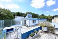 Modernes Atelier, Loft, Dachterrasse im Neunzehnten // Modern Studio, loft, roof terrace in the nineteenth //