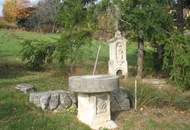 Exklusives Weingartendomizil - geschützte Alleinlage mit unverbauter Fernsicht - viel Platz auf mehreren Ebenen! Großer Wohnraum + ebenerdiger Wohnkeller (Provisionsfrei)