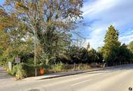 Grundstück mit Potenzial für Ihr Einfamilienhaus in Altenberg