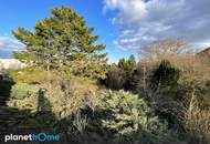 Großes, gut teilbares Baugrundstück mit Abbruchgebäude!