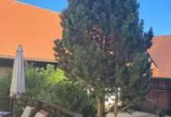 Wunderschöner Dreikanthof in Ruhelage mit Reithalle