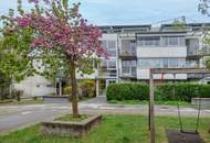 Schöne 3-Zimmer-Wohnung nahe Andritz AG