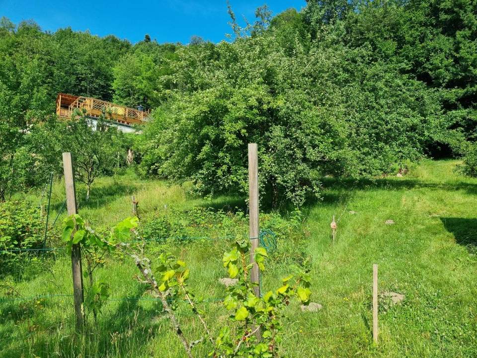AN DER SONNENSEITE AM WALDRAND!