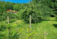 AN DER SONNENSEITE AM WALDRAND!