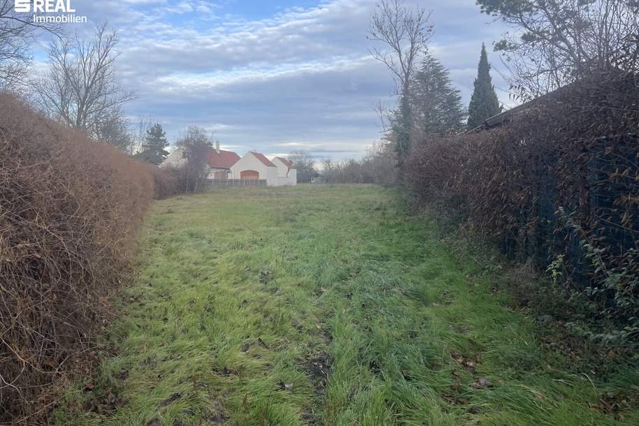 Natur pur: Ihr Rückzugsort am idyllischen Zicksee, Grund und Boden-kauf, 220.000,€, 7143 Neusiedl am See