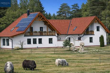 Einzigartiges Landgut im Waldviertel – 70.010 m² mit Wohnhaus, Ferienwohnungen &amp; Alpaka/Yak-Zucht, Haus-kauf, 1.120.000,€, 3860 Gmünd