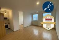 Anlegerwohnung (BJ 1993) mit attraktiver Rendite von 4,38%