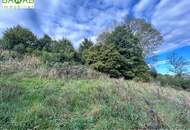 Südhang-Traum: Großzügiges Doppelgrundstück – sonnig & ruhig mit herrlichem Weitblick