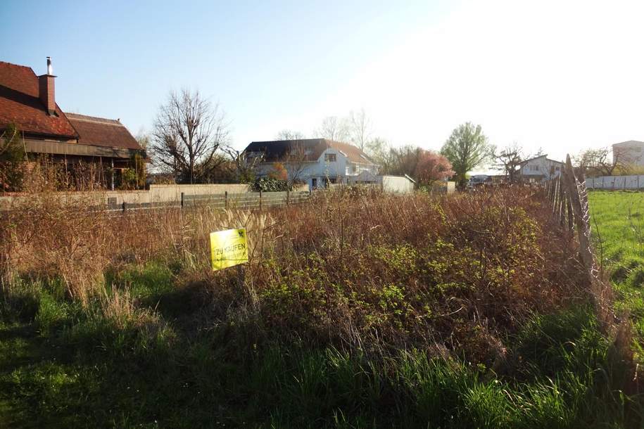 Aufgeschlossenes Baugrundstück in ruhiger Lage!, Grund und Boden-kauf, 260.000,€, 7000 Eisenstadt(Stadt)