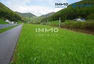 Betriebsbaugrund Waidhofen/Y - Gaflenz