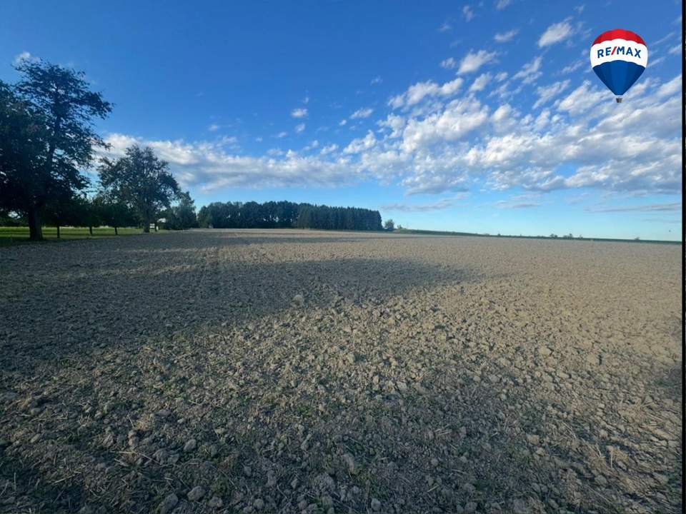 >>> Kaufanbote liegen vor ! <<< Schöne Ackerfläche in Scharten / Buchkirchen