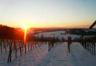 IN SLOWENIEN! Winzerhaus mit Weingarten und Blick bis zum Horizont!
