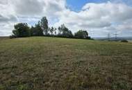 Landwirtschaftliche Grundstücke samt Wald in Stadtschlaining