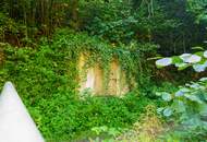 Naturparadies Pesenbachtal - Grundstück mit Altbestand