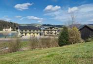 GROßES BAULAND IN TOP-HANGLAGE IN ARDAGGER MARKT