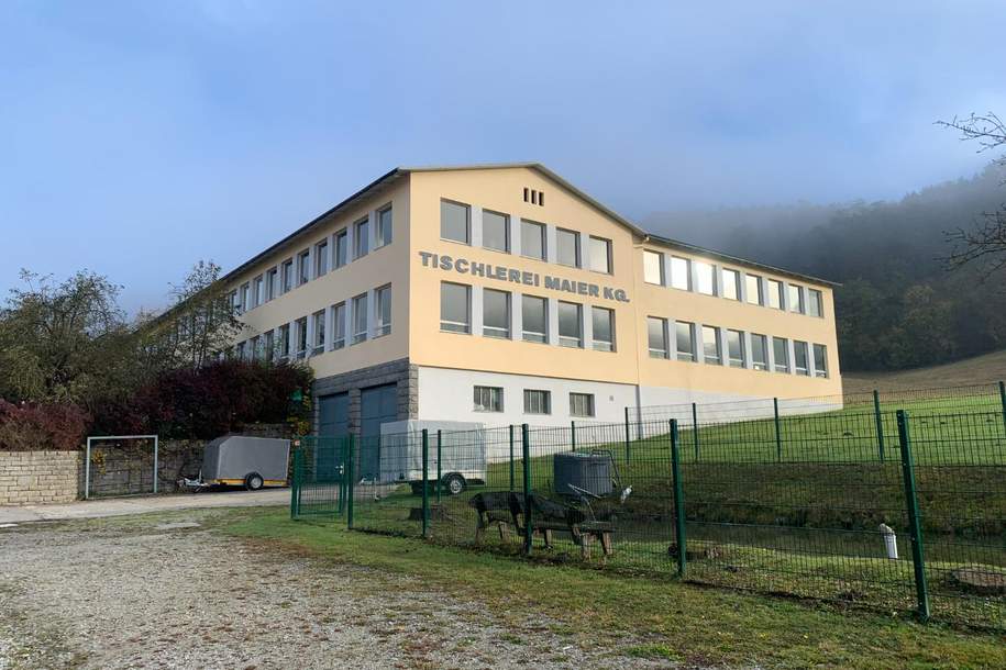 Büro- und Lagerflächen zu MIETEN, Gewerbeobjekt-miete, 800,00,€, 4783 Schärding