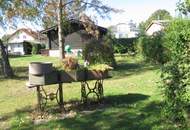 Urbanes Wohnen mit großem Garten mit kleinem Einfamilienhaus in Essling