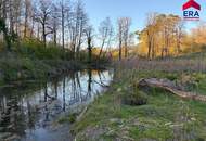 Freizeitgrundstück in Gaweinstal – ruhige Grünlage mit viel Natur und Entwicklungspotenzial