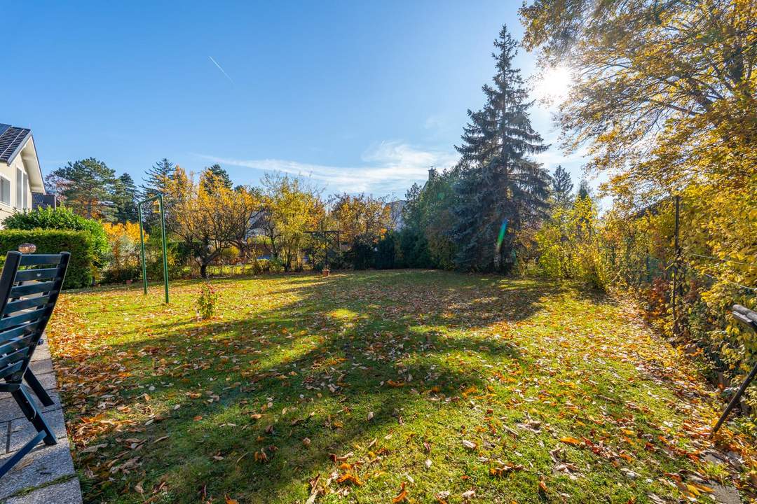 "Platz für Ihre Familiengeschichte - beim Napoleonwald"